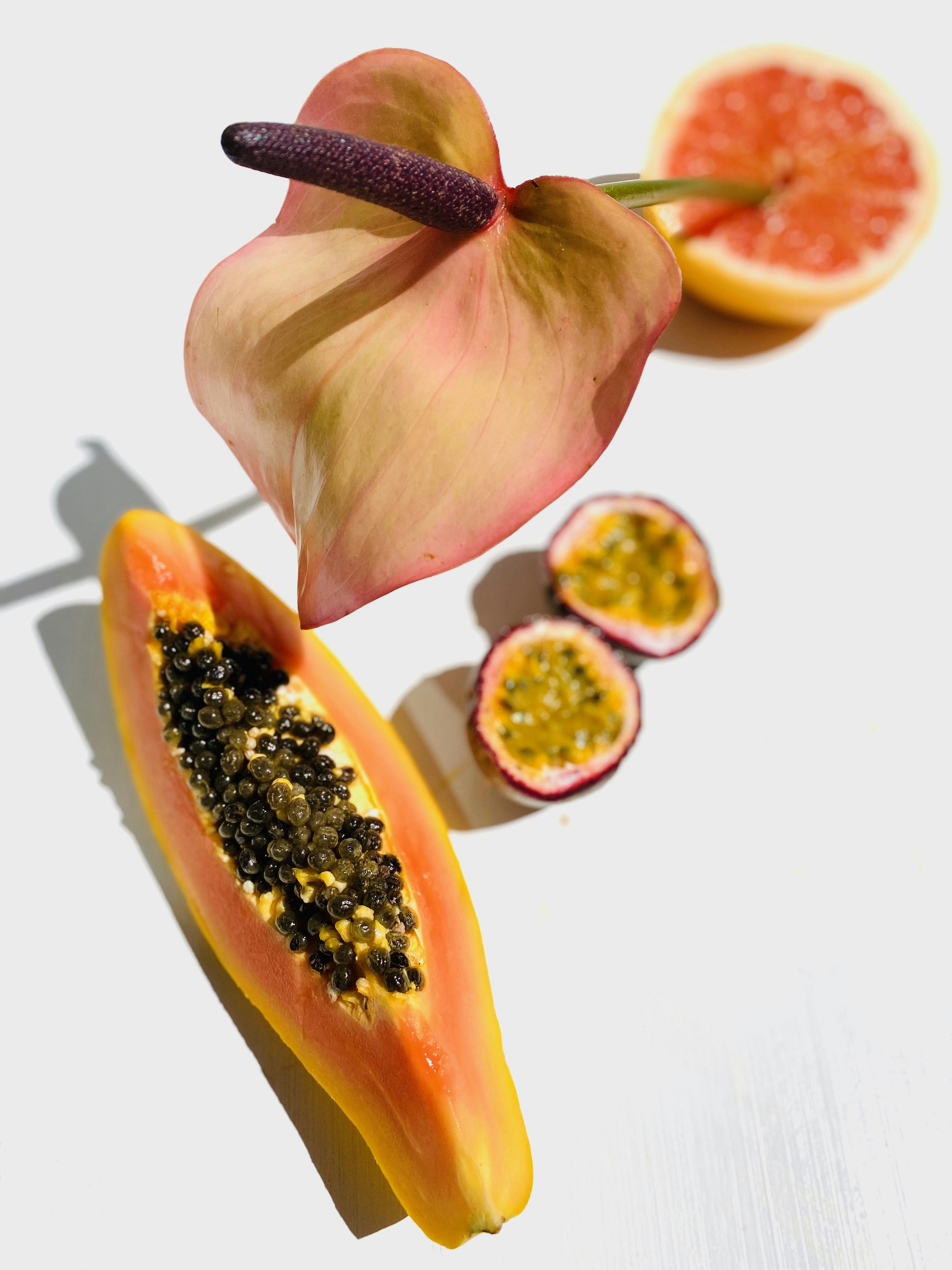 Tropical Theme