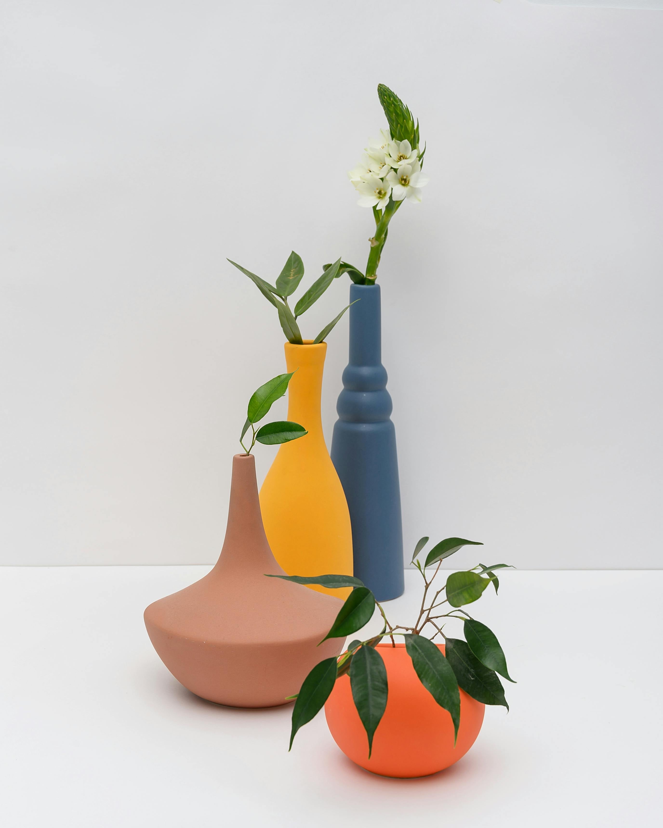Vases Collection